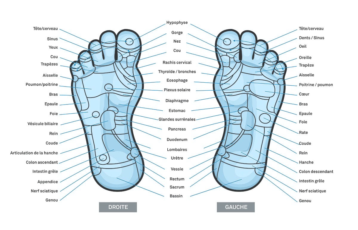 Réflexologie plantaire tout savoir sur cette technique de massage