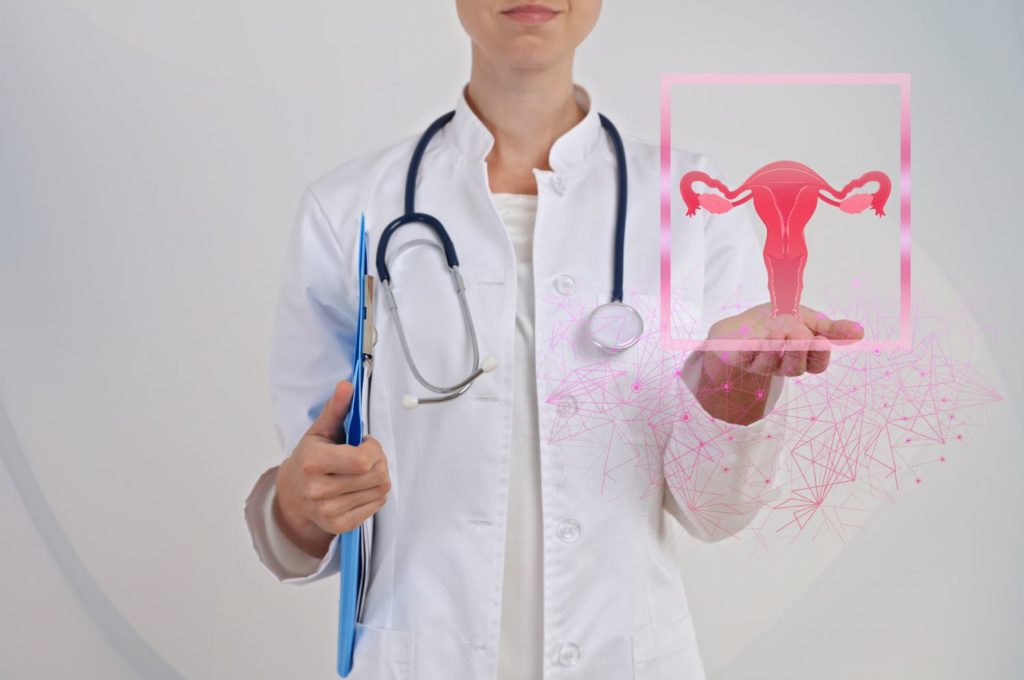 Gynecologue Uterus 