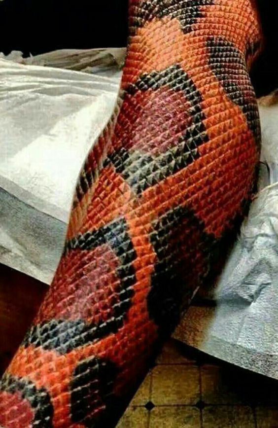 Tatouage Peau De Serpent Rouge Sur La Jambe 