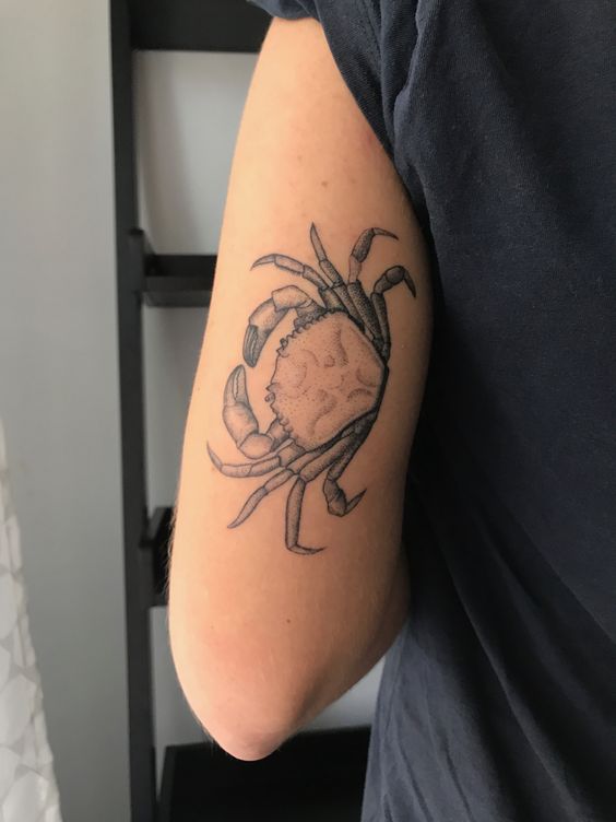 Tatouage Crabe En Noir Et Gris Sur Le Bras 