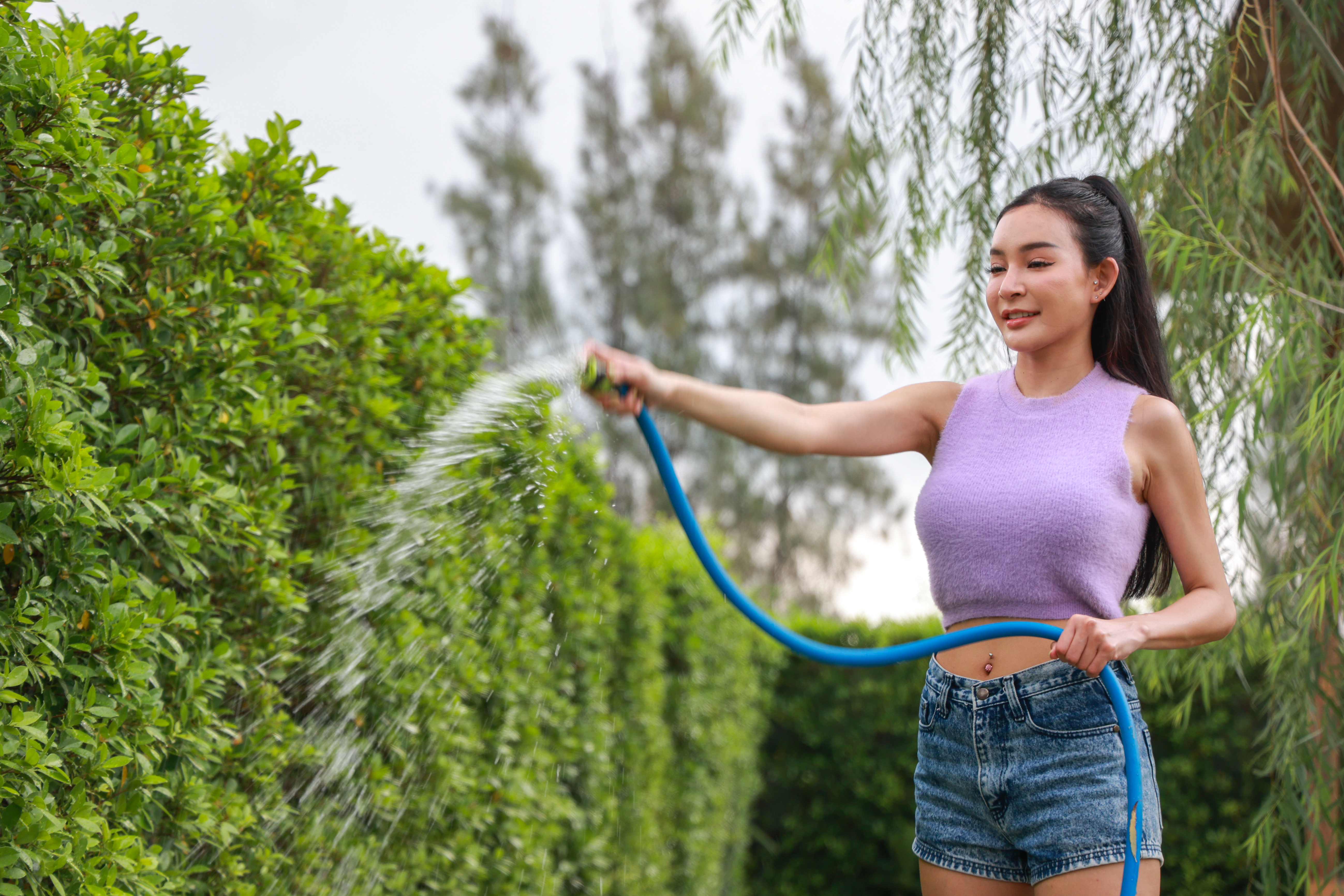 Active Young Woman Watering Hedge In Garden With H 2024 03 08 17 26 35 Utc