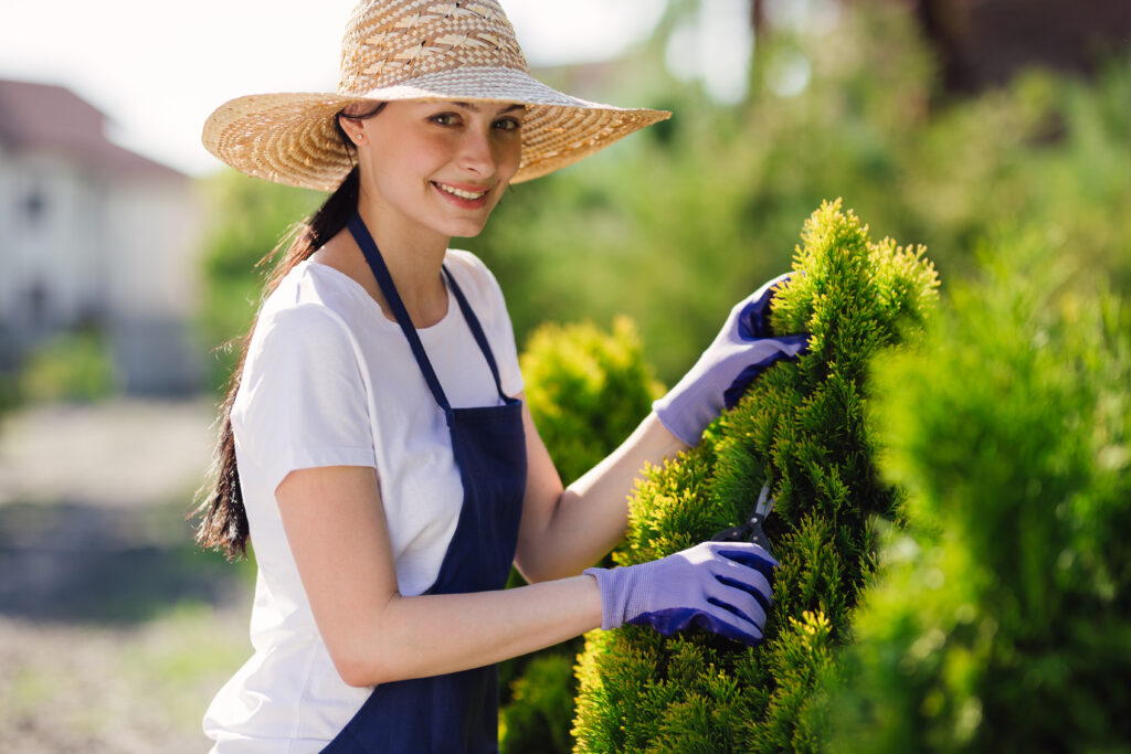 Woman Uses Gardening Tool To Trim Hedge Cutting B 2024 09 15 17 58 48 Utc