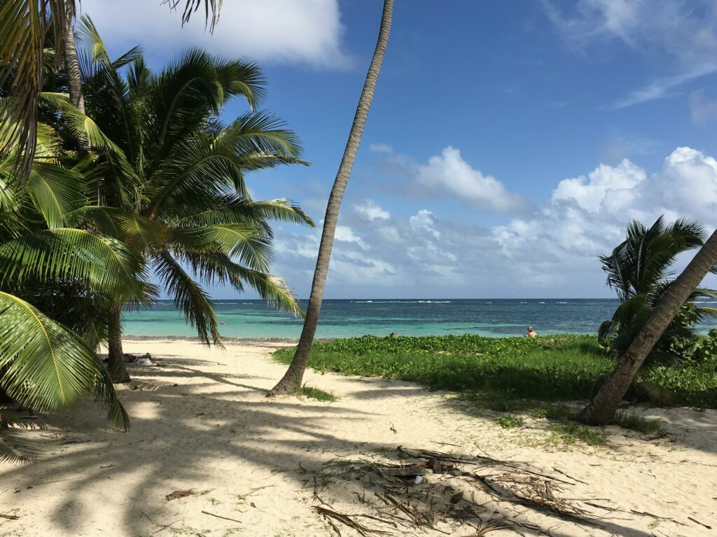 Voyage Martinique
