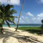 Voyage Martinique