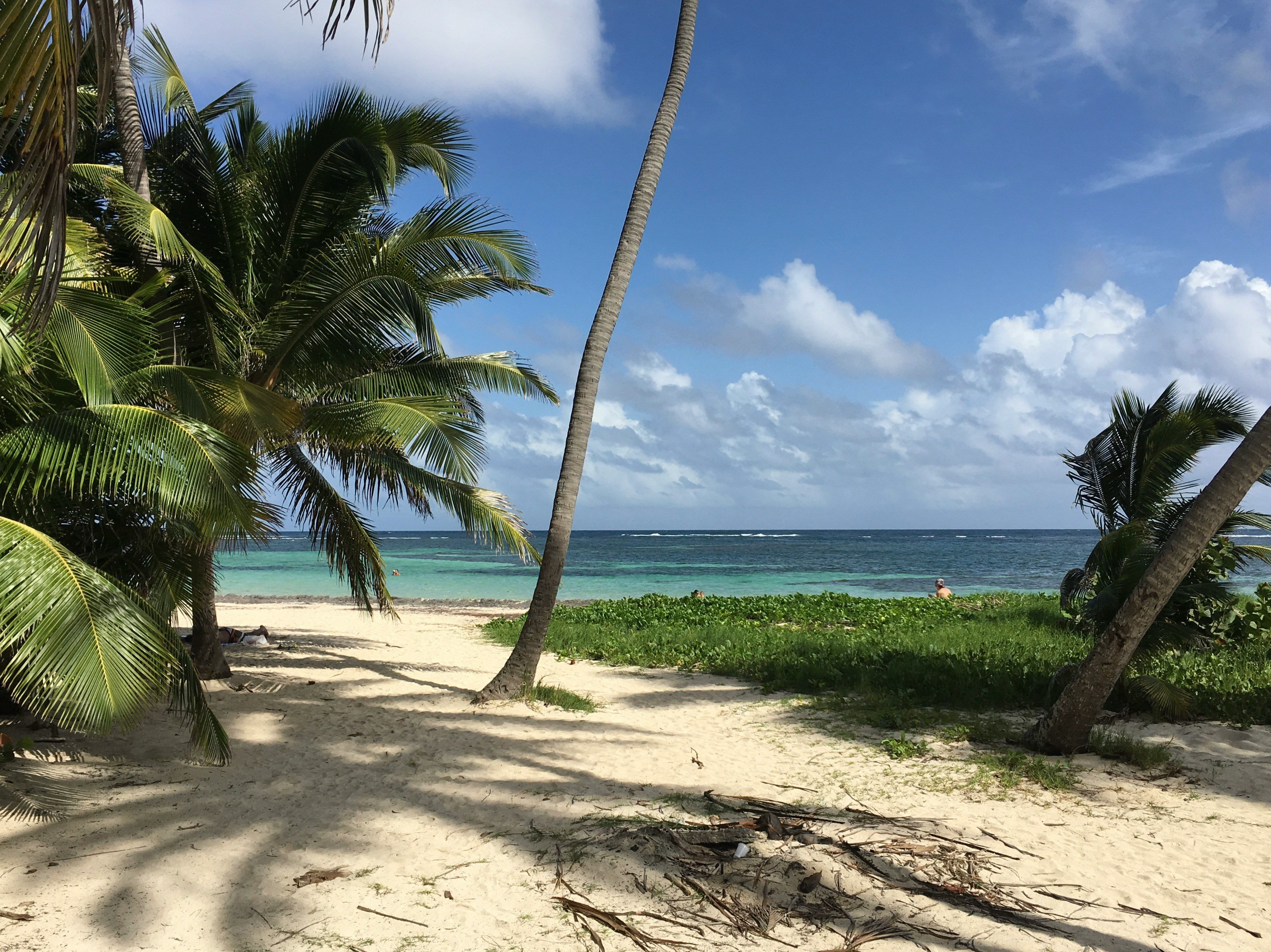 Voyage Martinique